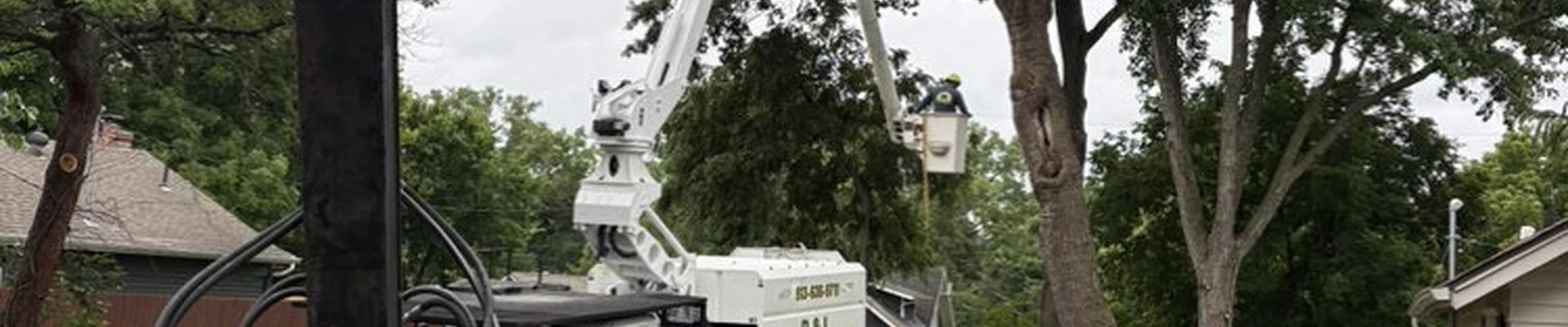 B&L Tree and Lawn Services
