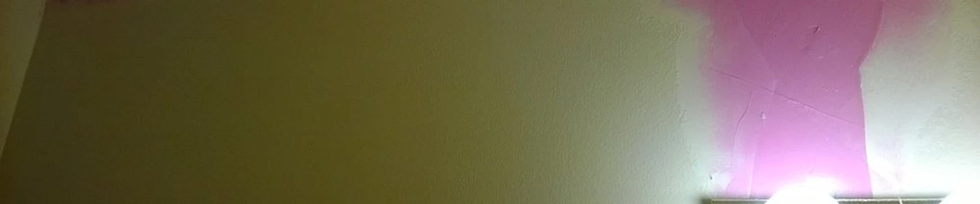 MTC Painting & Wallpapering
