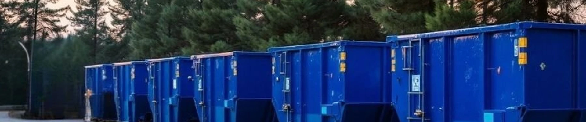 Dumpster Rental Experts