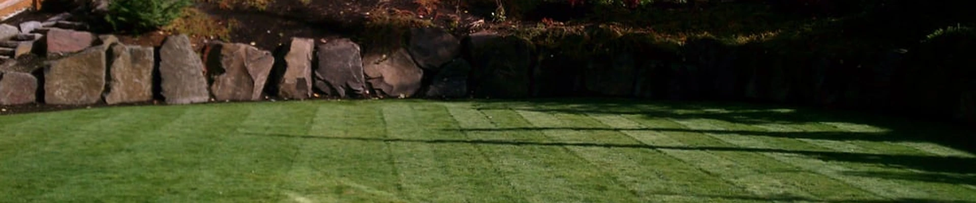 Green Grass
