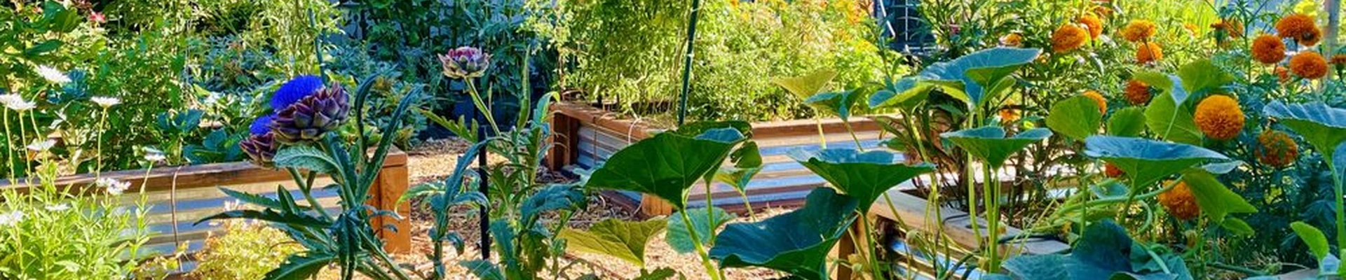 PNW Permaculture & Garden