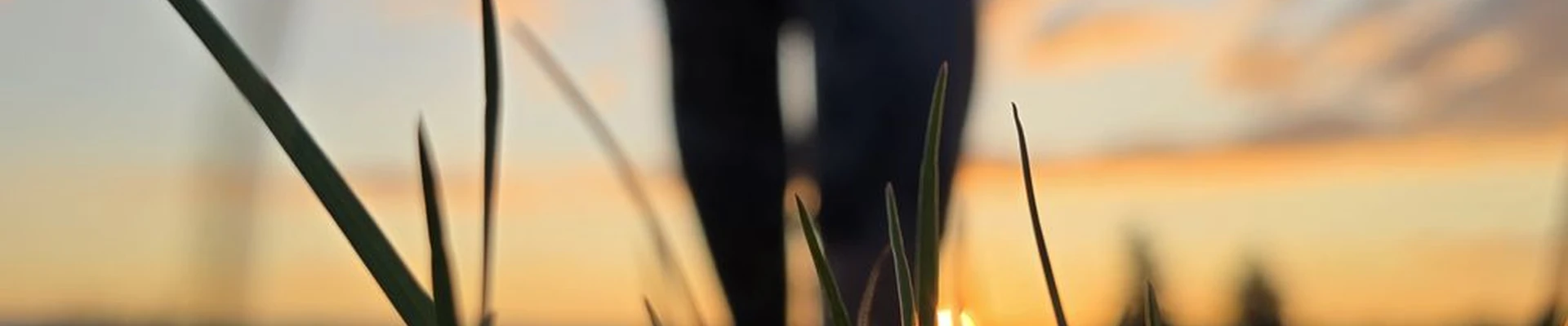 Let it Glow