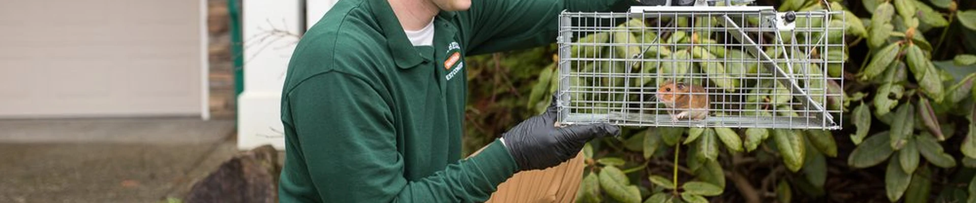 Campbell Natural Pest Control