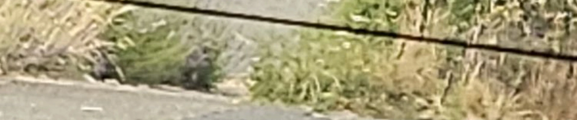 &