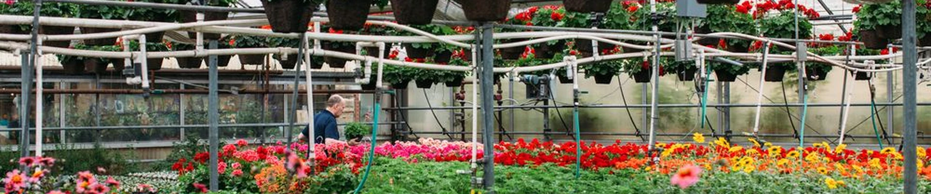 Marbott's Greenhouse & Nursery