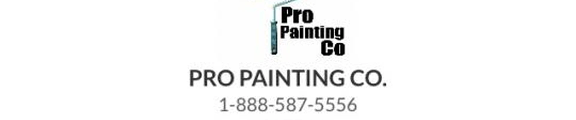 Pro Painting Co LLC