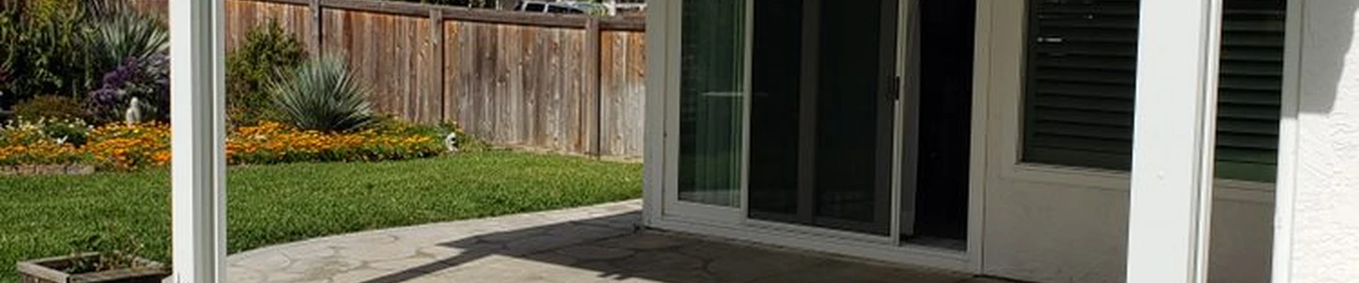 Patio Guy