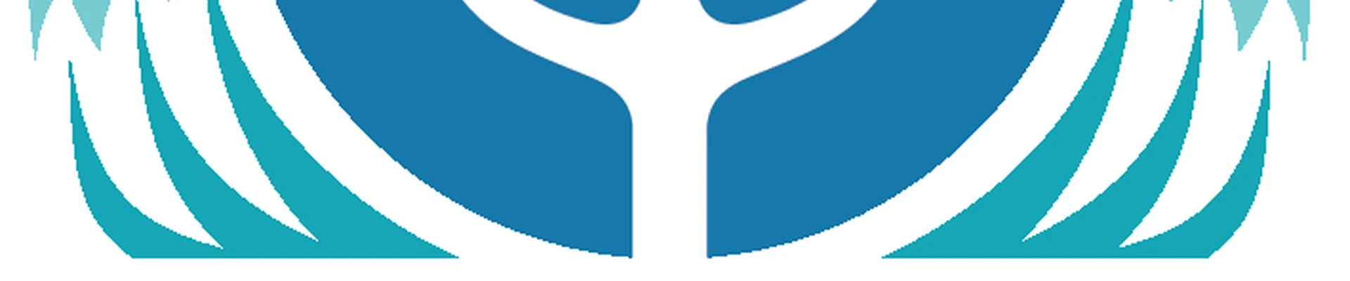 Triton Home Inspections