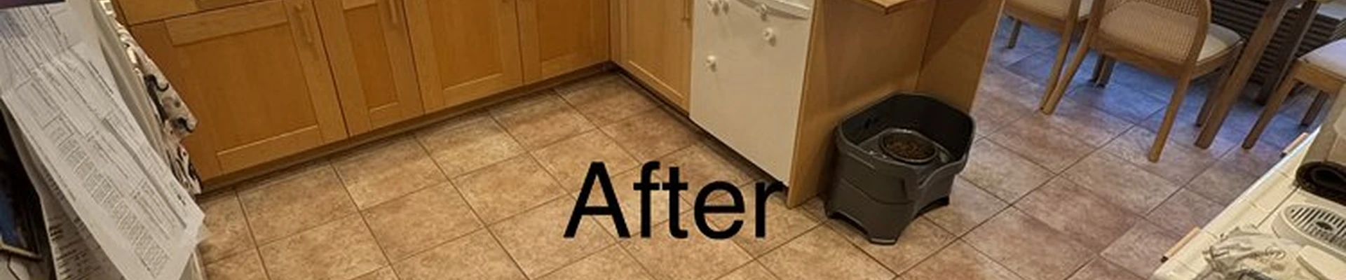 That Guy! Carpet, Floor Care, & Flood Restoration