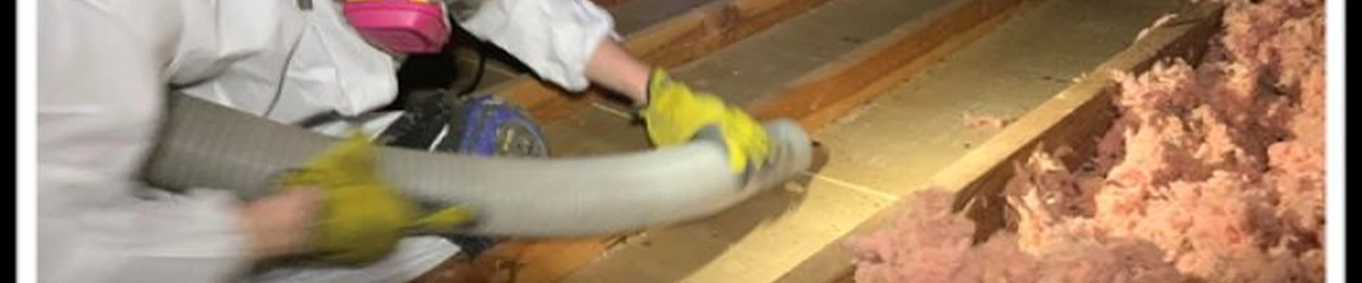 Attic Advisor