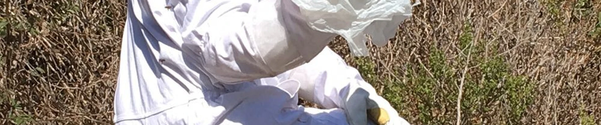 Green Flash Pest & Termite Control