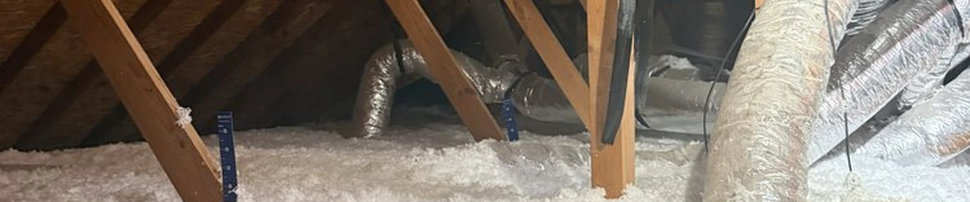Penguin Insulation