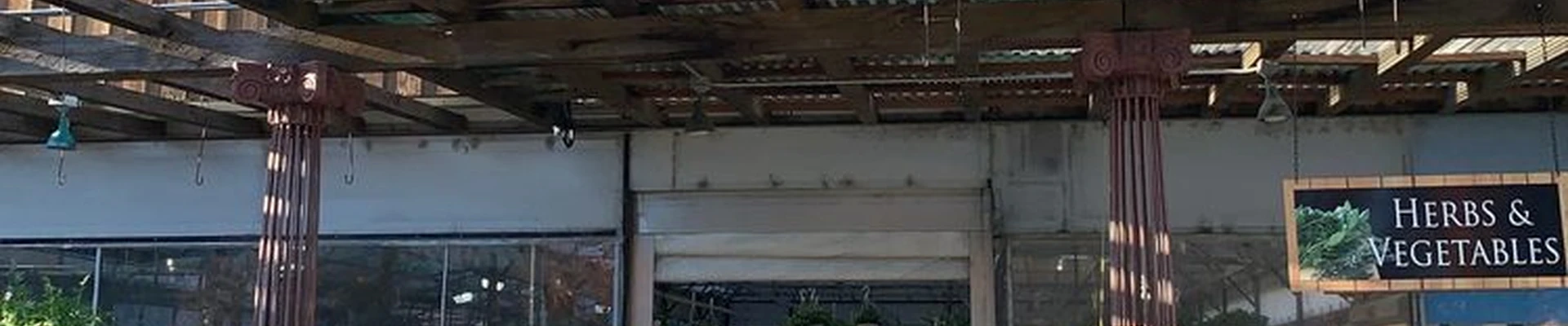 Ruibal's Plants