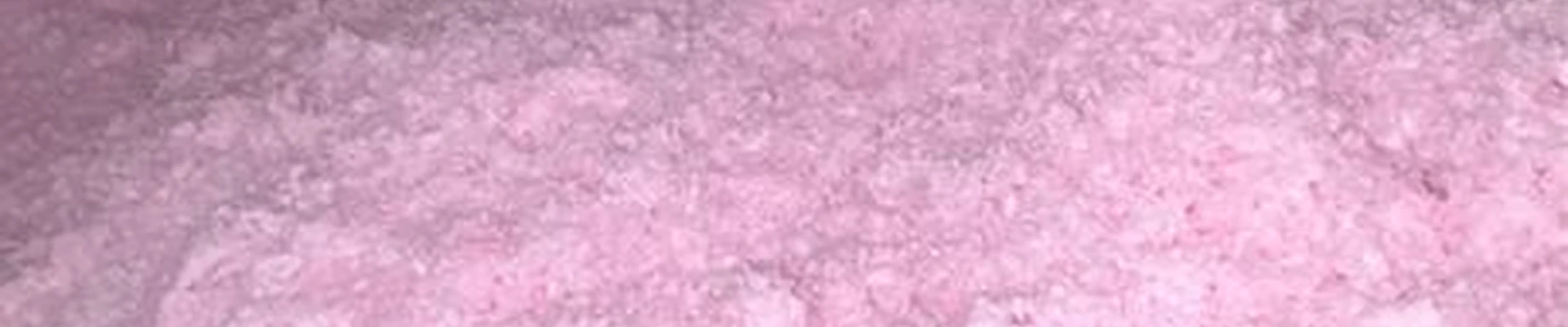 Haven Insulation