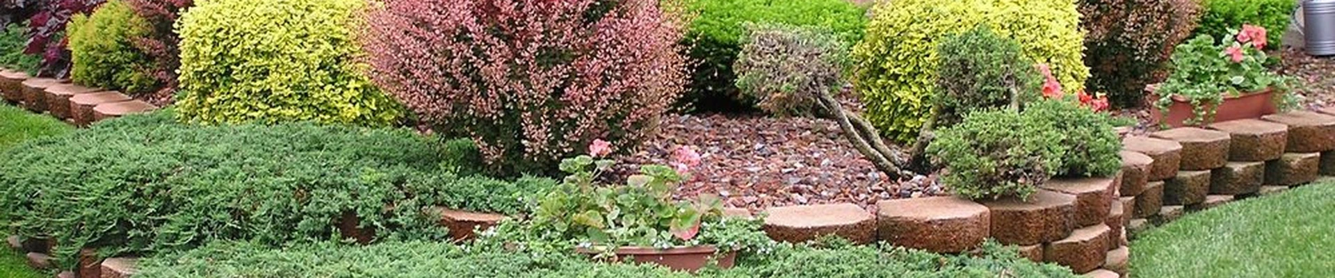 Cox's Plant Farm