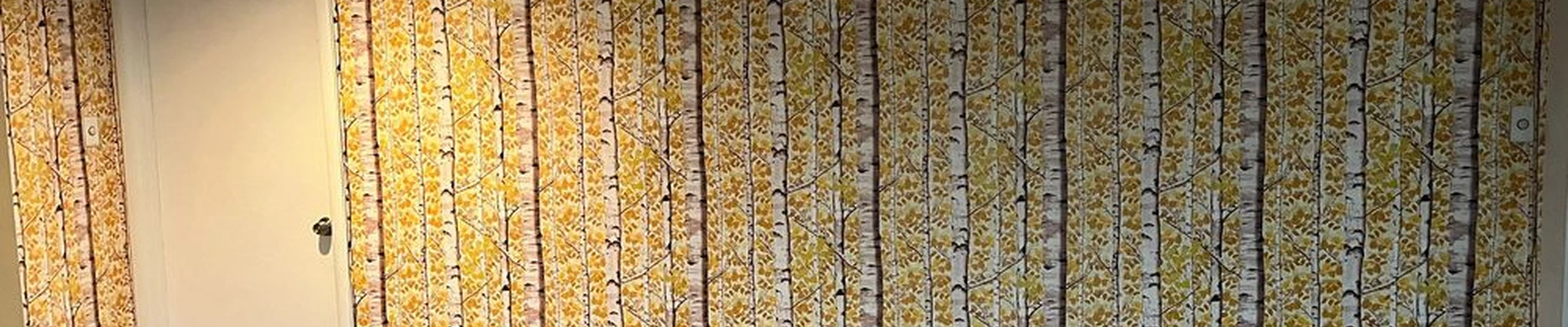 Lewis Fine Finish Wallpapering