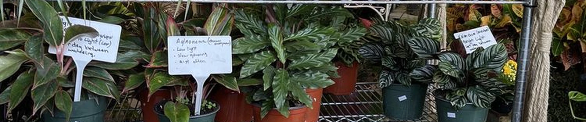 Banner Nursery & Garden Center