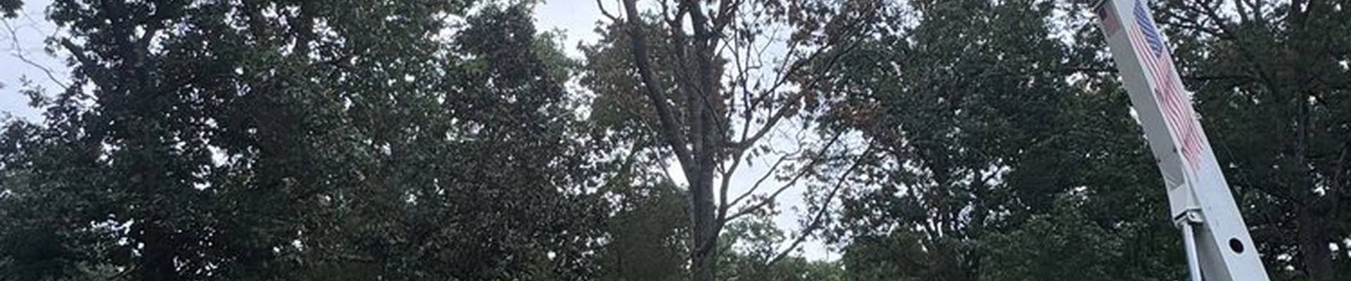 Sherman’s Tree Services