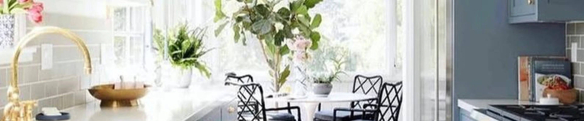 White Lion Painting Company