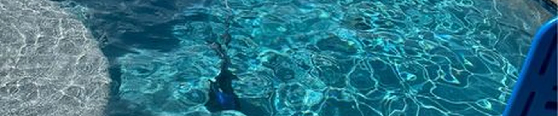 El Pool Guy