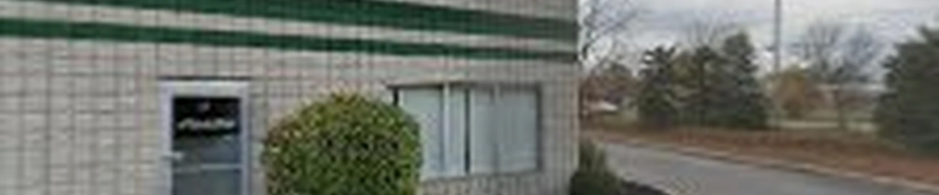 BlueStar/GreenStar Home Services