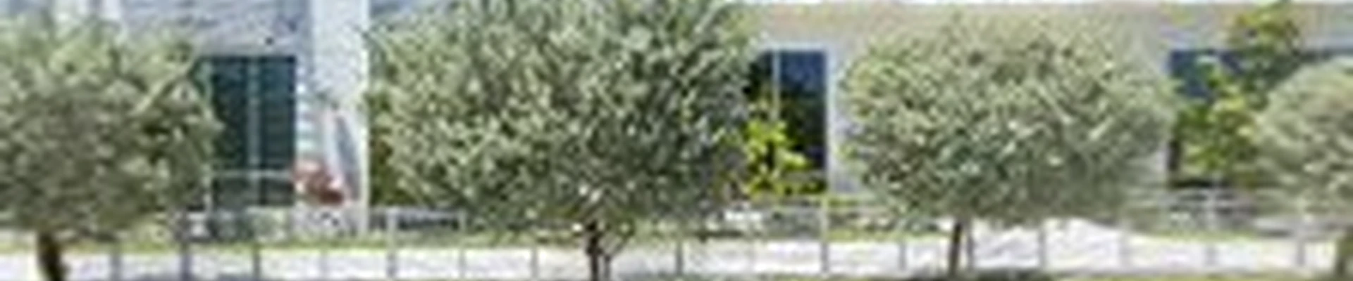 Blue Air Conditioning Hallandale