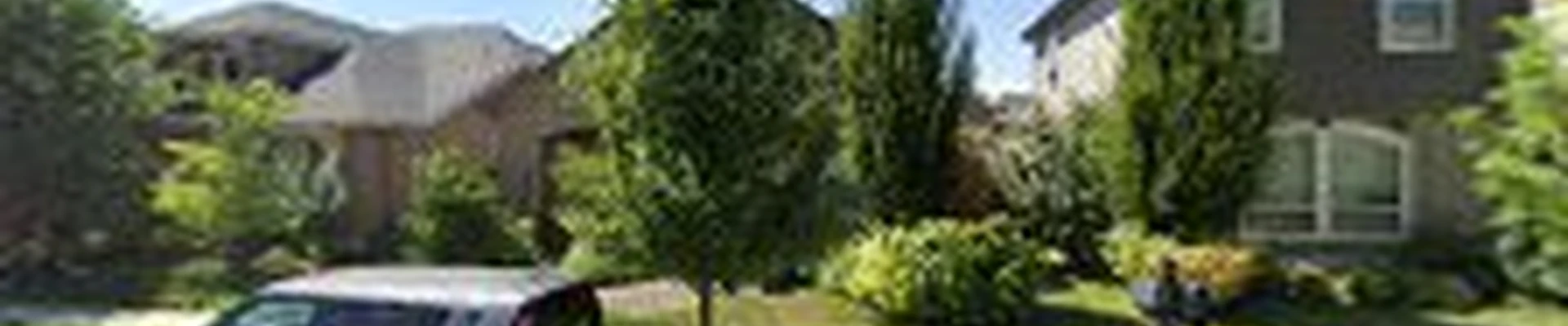 Professional Inspection Services