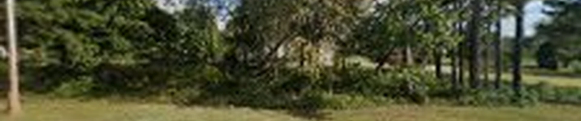 North Alabama Pro Services LLC