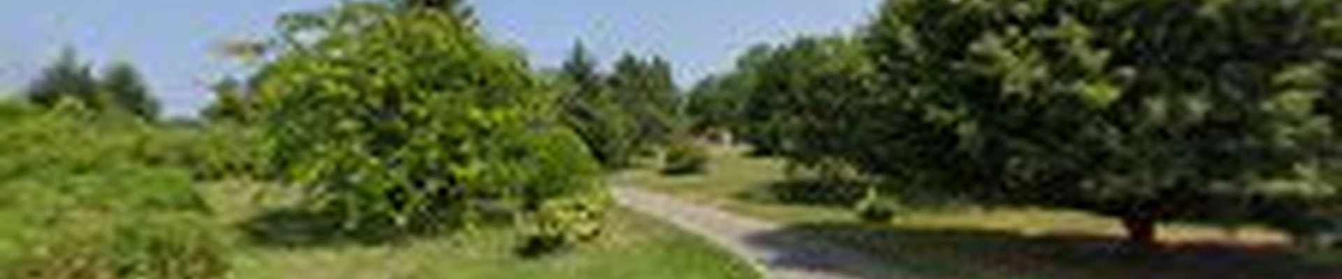 Moore Heating and Cooling