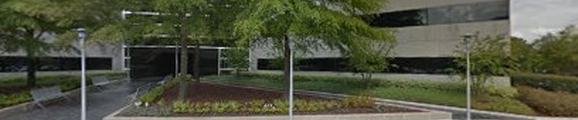 ESI Services