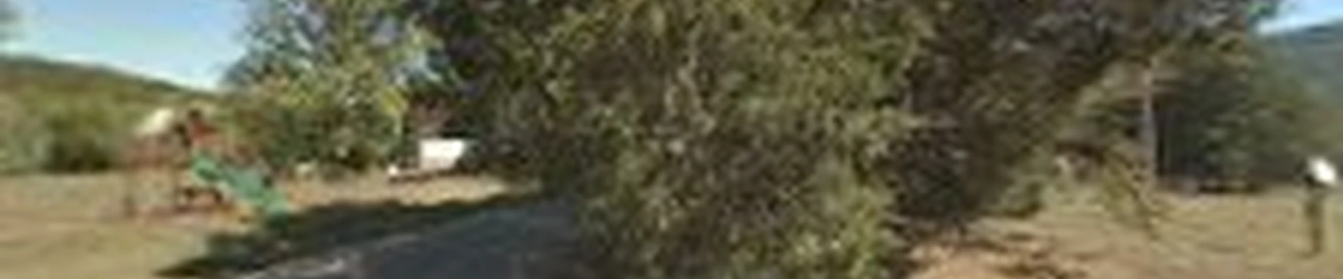 &