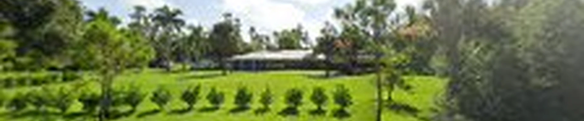 Coconut Point Cooling LLC