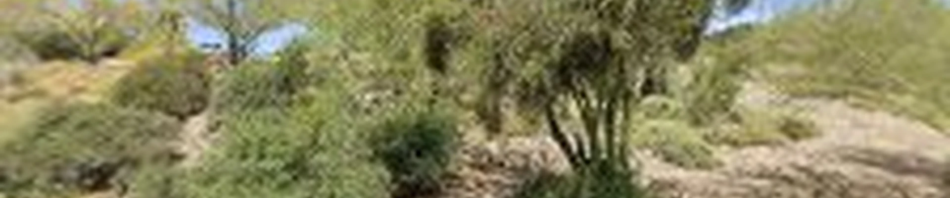 Cave Creek Cooling Company