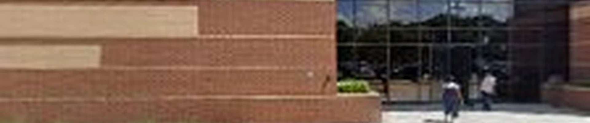Roto-Rooter Plumbing & Water Cleanup