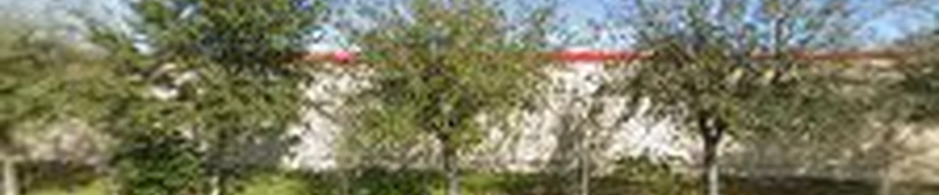 The Repipe Company LLC
