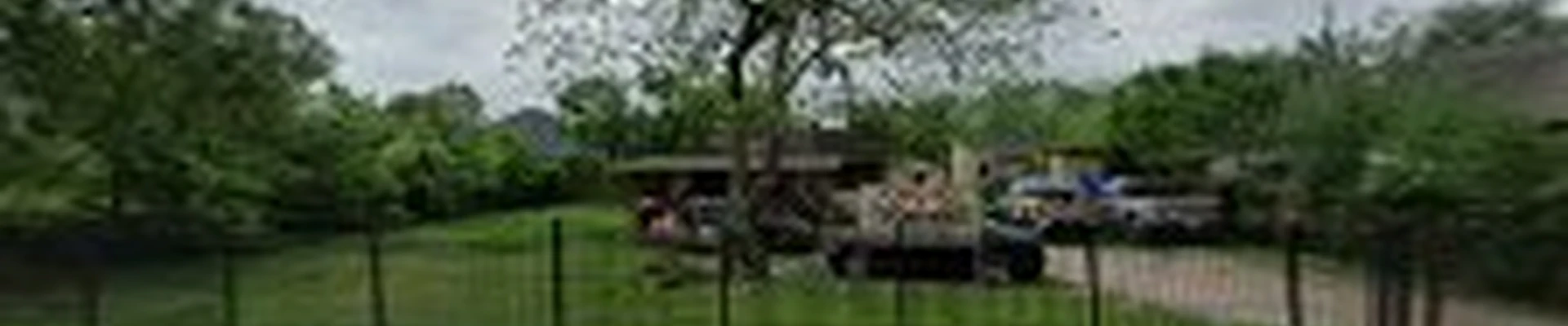 Tomas Foundation Repair & Home Elevation