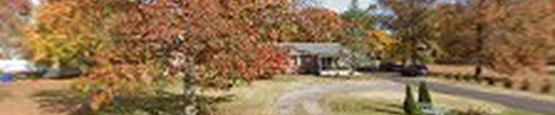Gray's Heating & Air + American Drain Plumbing