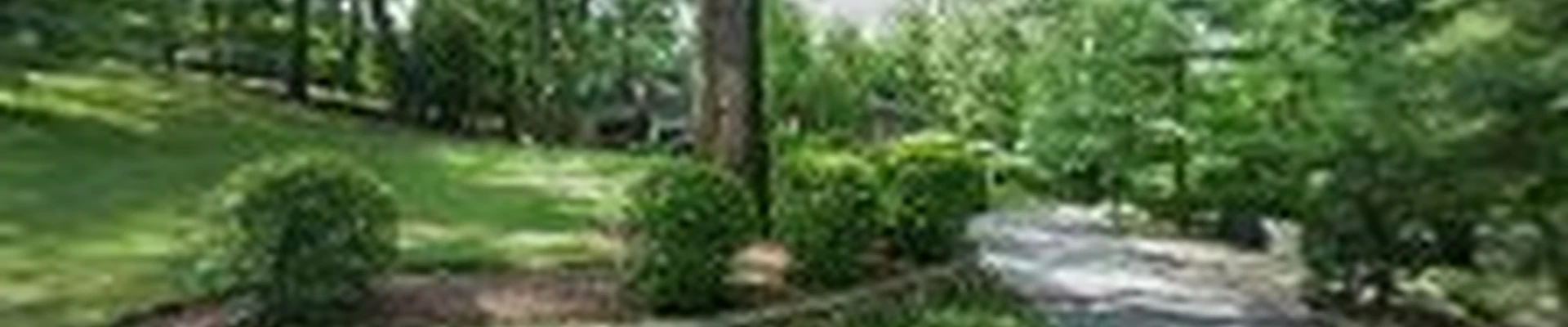 Pinnacle Plumbing Sewer & Drain