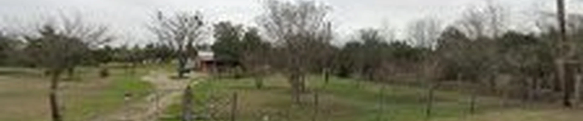 Jose Medrano Plumbing