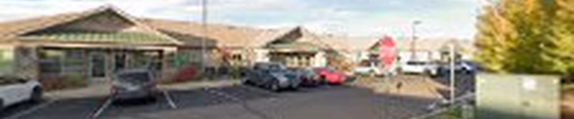 Alpine Contracting