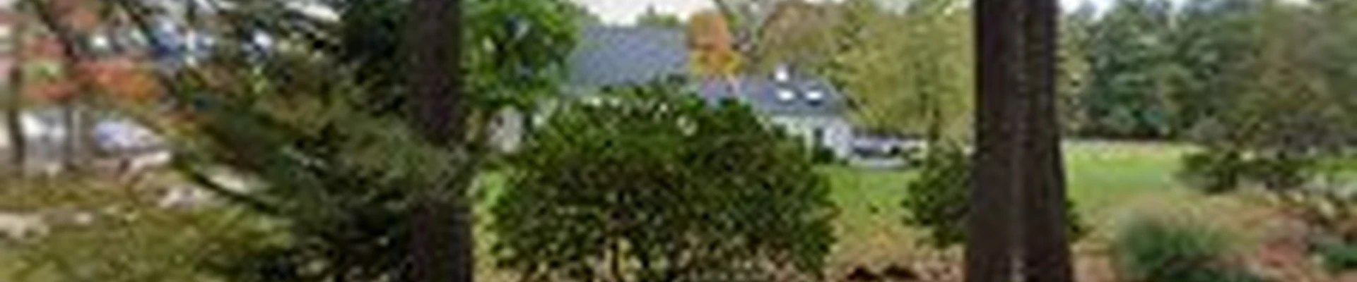 Kurt Leontie Plumbing & Services LLC