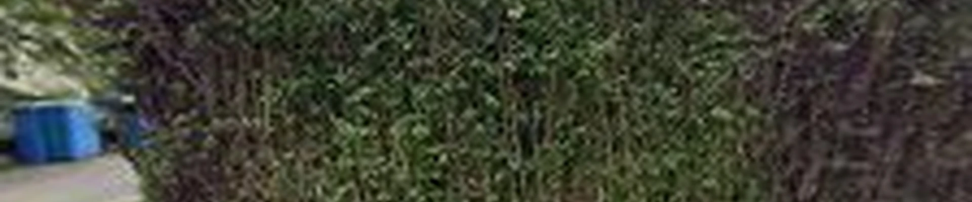 RooterMan North Shore Massachusetts