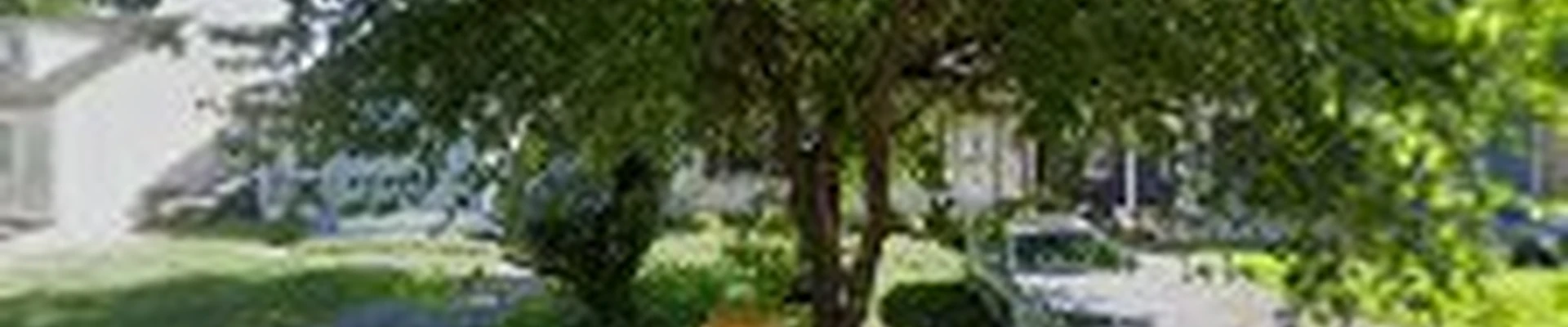 Elaine's remodel & construction