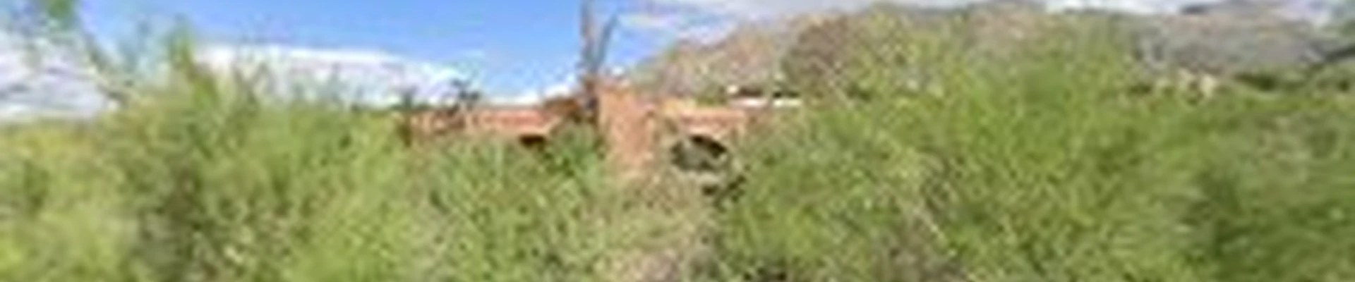 Oro Valley Plumbing LLC