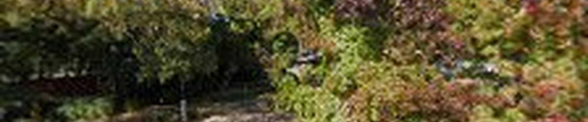Plumber Jon’s Plumbing And Drain Cleaning , LLC