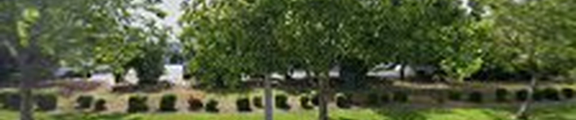 Gray Plumbing Inc