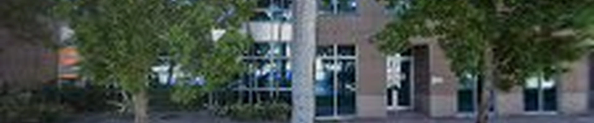AAAPLUMBINGSERVICES COM