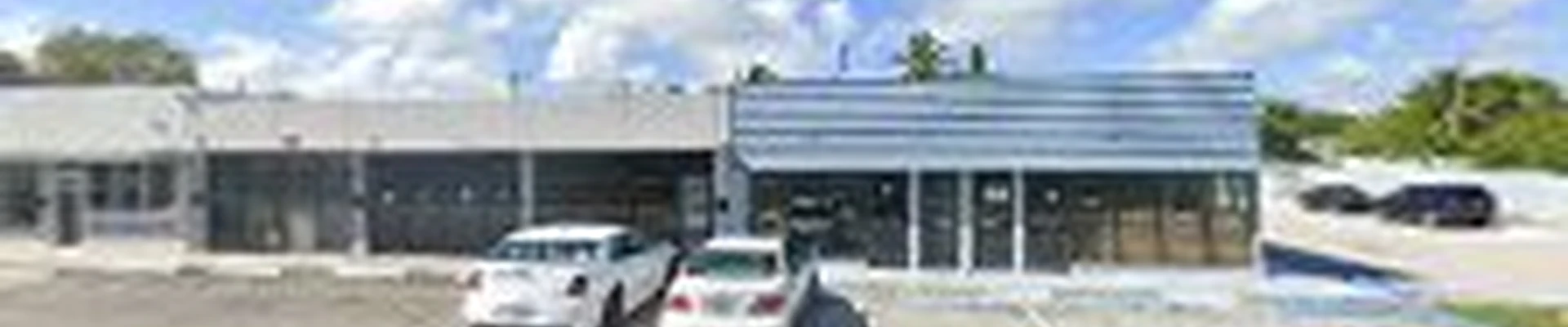 Wolf Plumbing Service