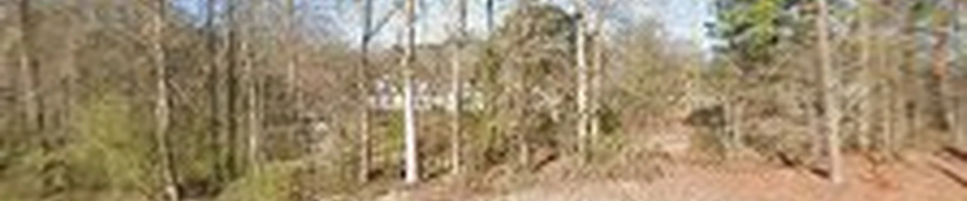 C Massey Plumbing Inc