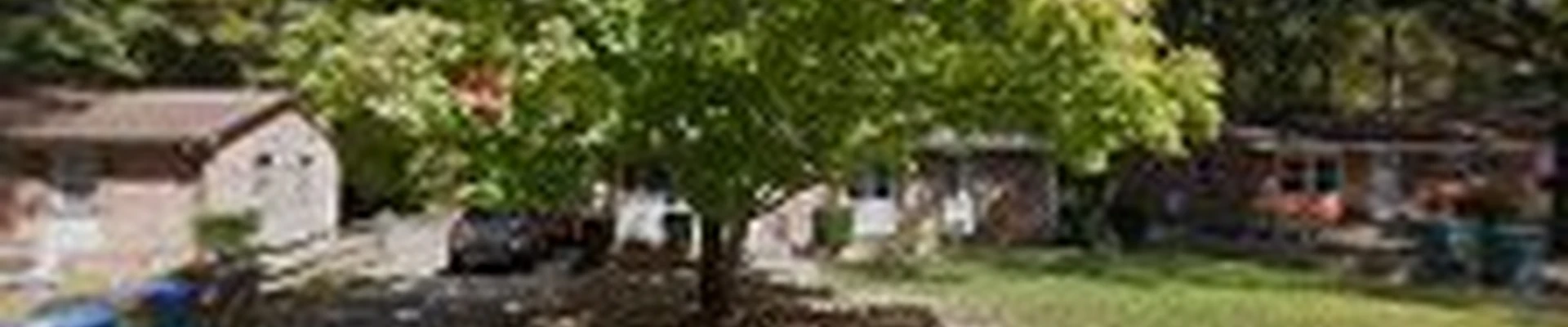 Kyngdom Plumbing,LLC